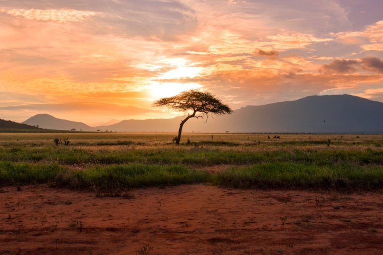 Strengthening Governance Integrity: A Call to Action for Africa (Dr Peter Wandwasi, Published in The Rational Standard 18 November 2025)